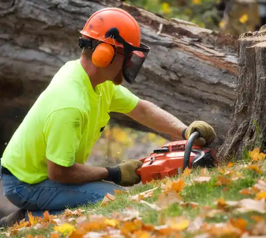 tree services Grambling